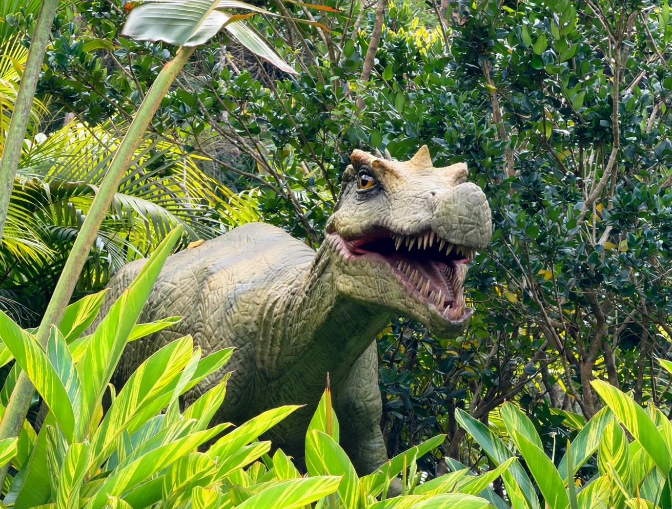 Fóssil de dinossauro que será devolvido ao Brasil tem réplica em parque de SC