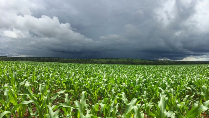 El Niño forte aumenta risco para o agronegócio