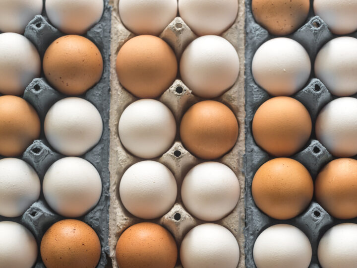 Surto de salmonela na Europa reacende alerta sobre cuidados na cozinha