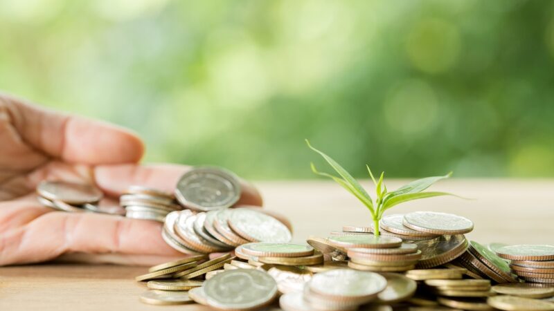 Cooperativismo financeiro amplia retorno aos associados