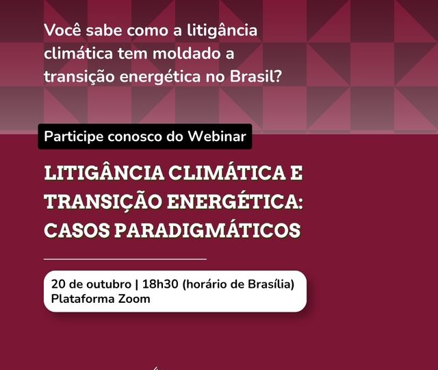 Webinário debate avanço da litigância climática