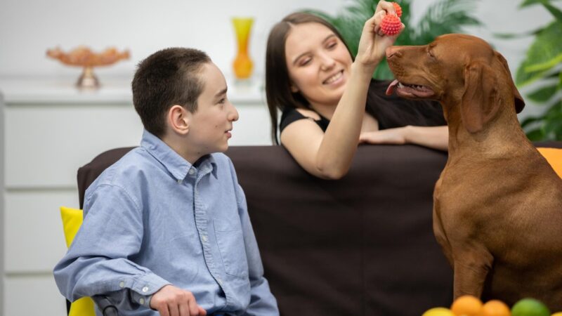 Atendimento gratuito com cães para crianças neurodivergentes