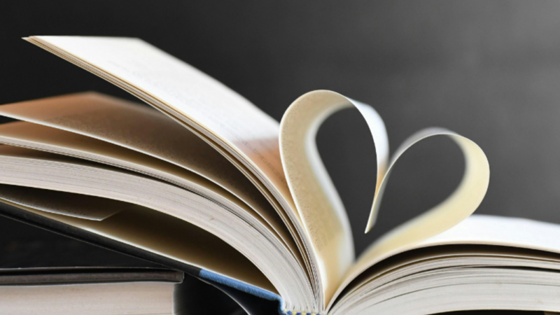 Livro aborda superdotação e alta sensibilidade em adultos
