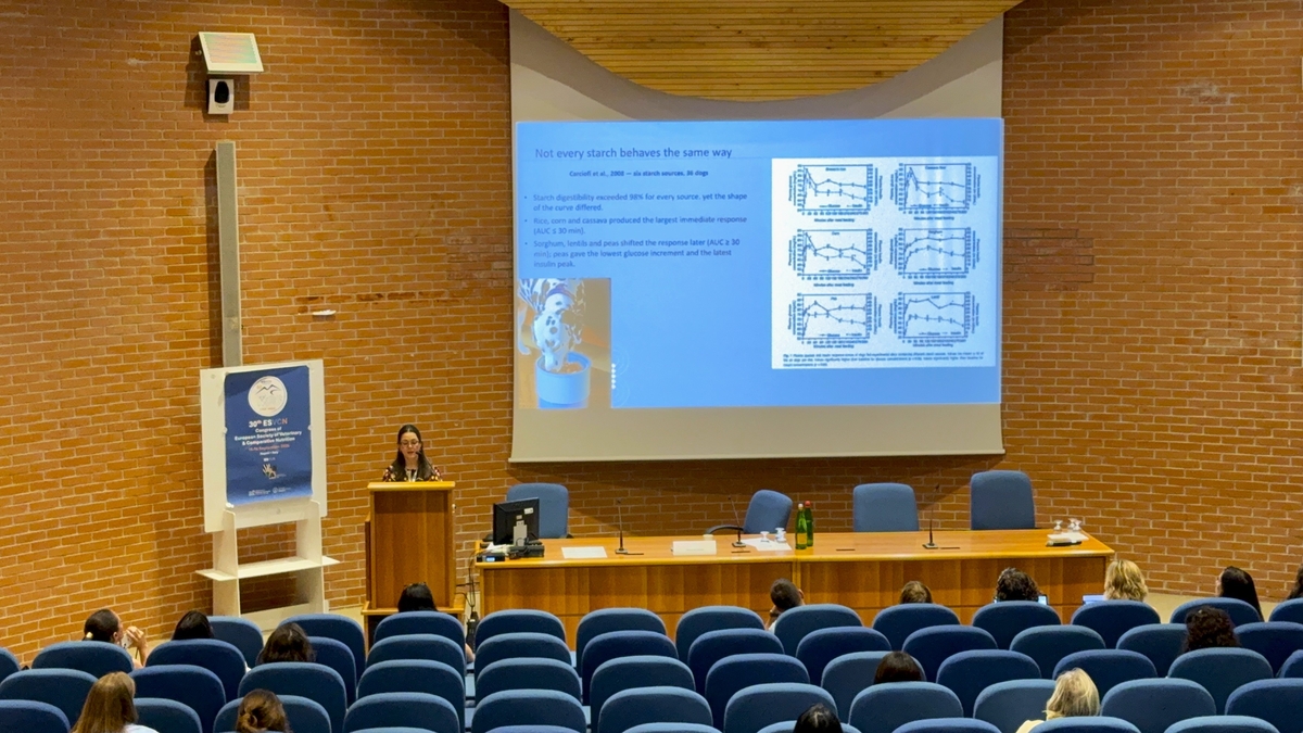 Medicina veterinária brasileira é destaque em evento global